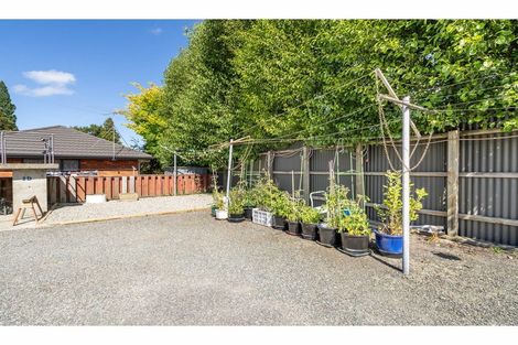 Photo of property in 3d William Street, Gore, 9710