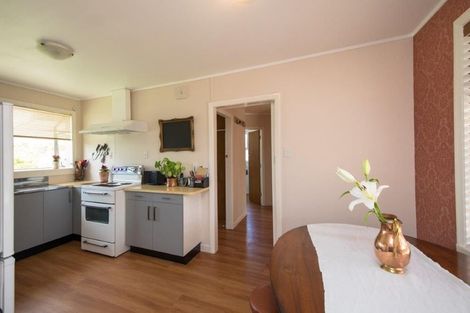 Photo of property in 30 Battersea Place, Roslyn, Palmerston North, 4414