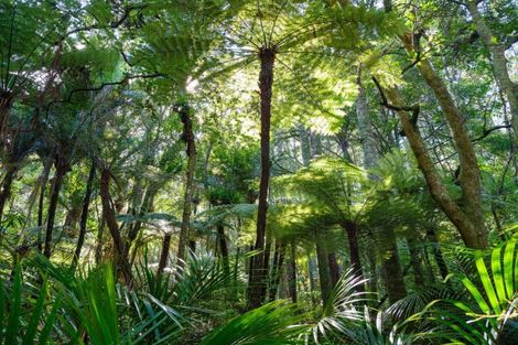 Photo of property in 37 Waymau Lane, Coatesville, Albany, 0792