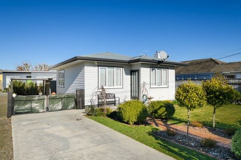 Photo of property in 91 Stortford Street, Ashhurst, 4810