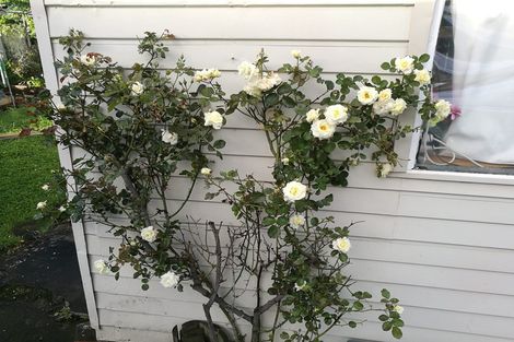 Photo of property in 20 Lyndhurst Street, Takaro, Palmerston North, 4412