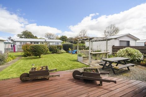 Photo of property in 135 Salisbury Street, Ashhurst, 4810