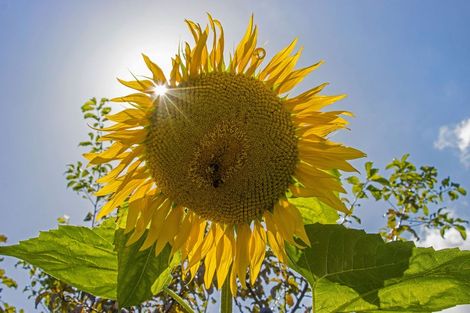 Photo of property in 119 Woodland Road, Tahawai, Katikati, 3170