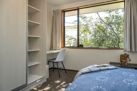 Photo of property in 60a Nairn Street, Kaikorai, Dunedin, 9010