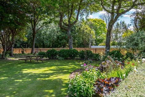 Photo of property in 20 Haswell Street, Eketahuna, 4900