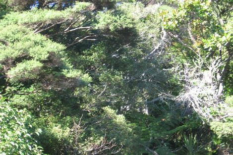 Photo of property in 18 Phillip Avenue, Glen Eden, Auckland, 0602