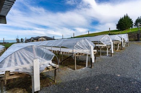 Photo of property in 413 Otaika Valley Road, Otaika, Whangarei, 0170