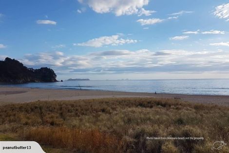 Photo of property in 212 Russell Bruce Place, Onemana, Whangamata, 3691