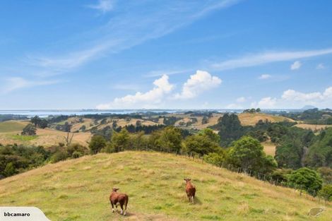 Photo of property in 725 Wright Road, Aongatete, Katikati, 3181