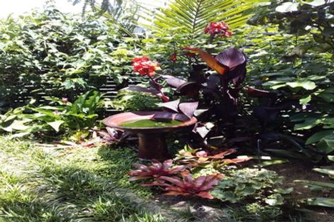 Photo of property in 20 Roseberry Place, Whitianga, 3510