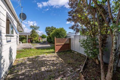 Photo of property in 16 Patea Place, Kuripuni, Masterton, 5810