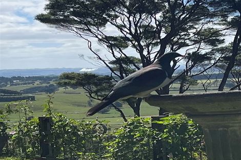 Photo of property in 178 Bald Hill Road, Waiuku, 2681