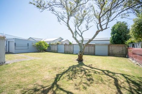 Photo of property in 67 Shamrock Street, Takaro, Palmerston North, 4412