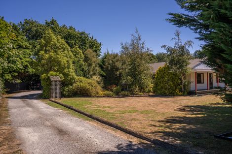 Photo of property in 247 Belvedere Road, Carterton, 5713