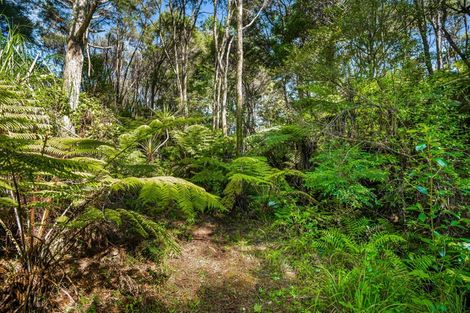 Photo of property in 105b Newman Road, Stillwater, Silverdale, 0993