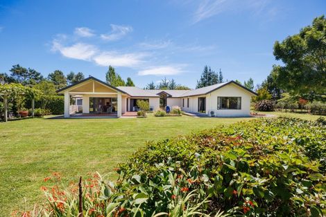 Photo of property in 572 Taonui Road, Colyton, Feilding, 4775