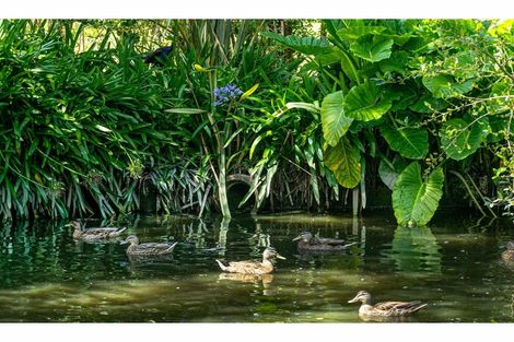 Photo of property in 34 Lascelles Drive, Dairy Flat, Albany, 0794