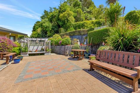 Photo of property in 38 Roto Street, Hurdon, New Plymouth, 4310