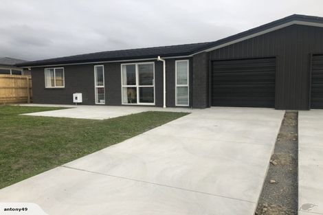 Photo of property in 87 Hinemoa Street, Levin, 5510