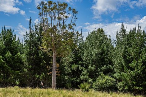 Photo of property in 436 Glenmohr Road, Waipu, 0582