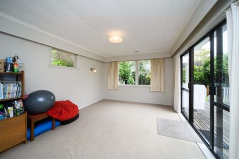Photo of property in 22 Heatley Avenue, Hokowhitu, Palmerston North, 4410