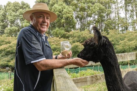 Photo of property in 18b Plummer Road, Whakamarama, Tauranga, 3179