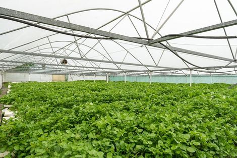 Photo of property in 21 Berkers Road, Ngahinapouri, Hamilton, 3290