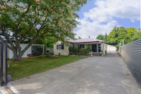 Photo of property in 251 Havelock Road, Akina, Hastings, 4122