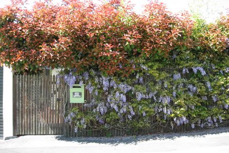 Photo of property in 45 Mount Street, Nelson South, Nelson, 7010