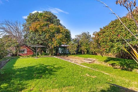 Photo of property in 9 Tiki Street, New Lynn, Auckland, 0600