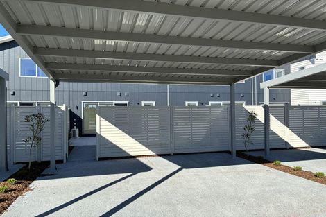 Photo of property in 101 Waituarua Drive, Takanini, Auckland, 2112