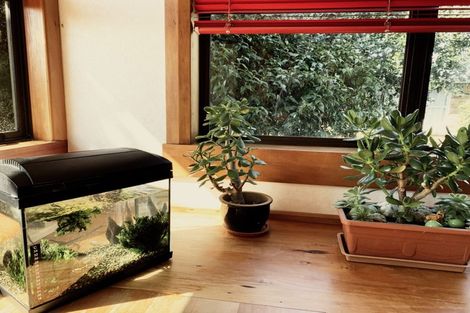 Photo of property in 9 Papanui Street, Tokoroa, 3420