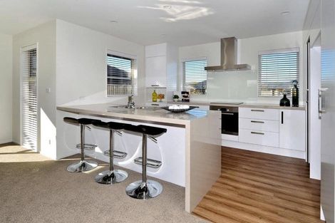 Photo of property in 74 Liffey Springs Drive, Lincoln, 7608