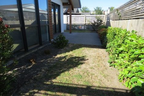 Photo of property in 1d Elizabeth Street, Richmond, 7020