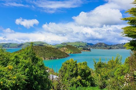 Photo of property in 37 Harrington Street, Port Chalmers, 9023