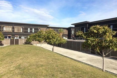 Photo of property in The Terraces, 19/9 Humber Street, Pandora, Napier, 4110