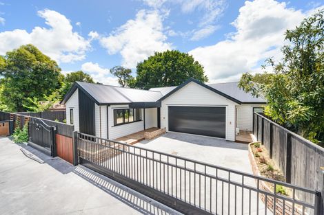 Photo of property in 41a Te Awe Awe Street, Hokowhitu, Palmerston North, 4410