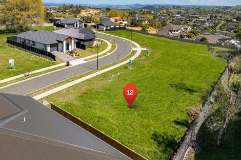 Photo of property in 11 Omanga Way, Bethlehem, 3110