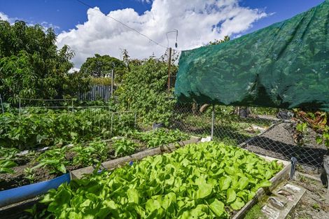 Photo of property in 309 Lovedale Road, Saint Leonards, Hastings, 4120