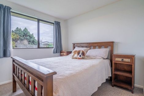 Photo of property in 12 Merlin Place, Gore, 9710