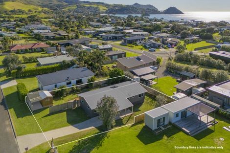 Photo of property in 50 Te Punga Road, Whangapoua, Coromandel, 3582