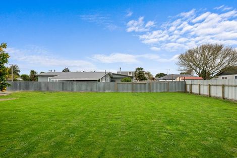 Photo of property in 192a Bartholomew Road, Levin, 5510