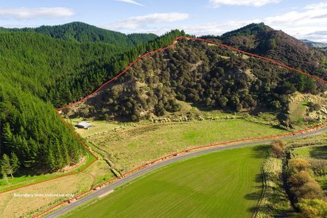 Photo of property in 1247 Wharekopae Road, Ngatapa, Gisborne, 4072