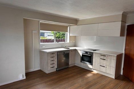 Photo of property in 8 Mayo Place, Belfast, Christchurch, 8051