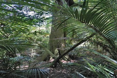 Photo of property in 92 Waipa Heights Road, Ngaruawahia, 3793