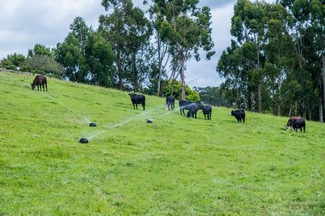 Photo of property in 587 Pleasant Point Highway, Levels, Timaru, 7975