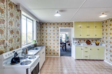 Photo of property in 404 Lumsden Road, Akina, Hastings, 4122