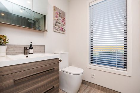 Photo of property in 57 Beechwood Road, Feilding, 4779