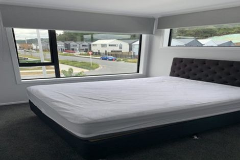 Photo of property in 25 Doug Jensen Street, Wallaceville, Upper Hutt, 5018