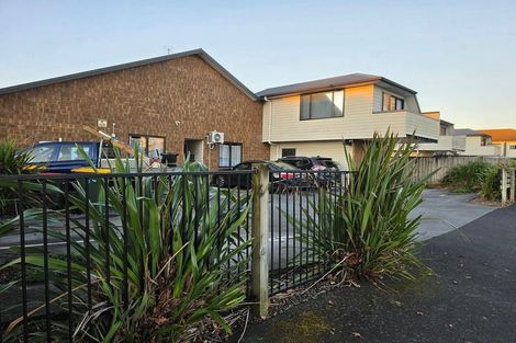 Photo of property in 62 Willoughby Street, Whitiora, Hamilton, 3200